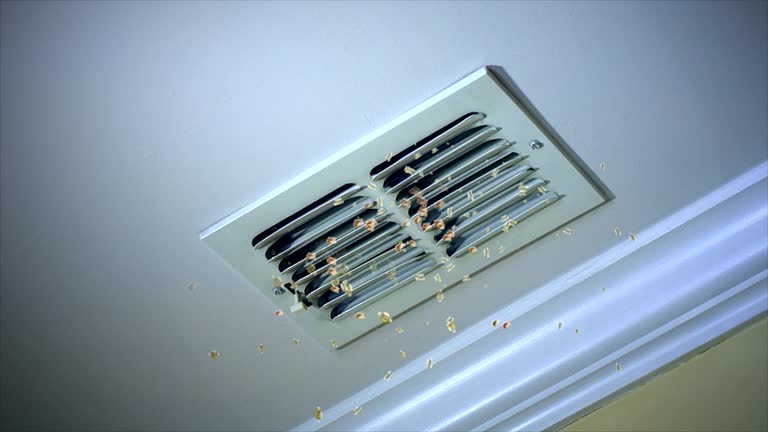 Best Best Air Duct Cleaning Company  in North Bay Village, FL